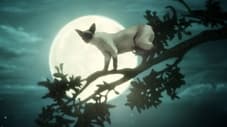11 Un Sueño de Mil Gatos/Calíope