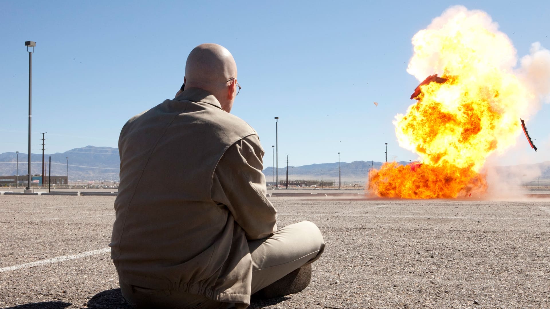 7 Perro problemático