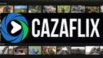 Cazaflix