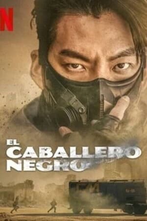 Black Knight (2023) 택배기사