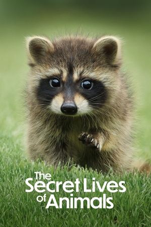 La vida secreta de los animales (2024)