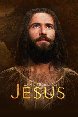 La vida pública de Jesús (1979)