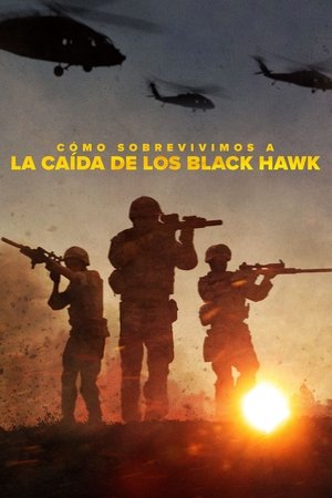 Cómo sobrevivimos a la caída de los Black Hawk (2025)